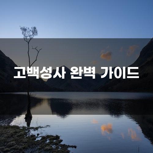 고백성사 완벽 가이드