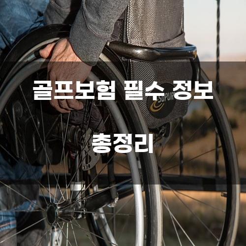 골프보험 필수 정보 총정리