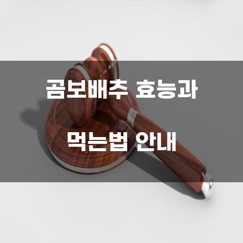 곰보배추 효능과 먹는법 안내