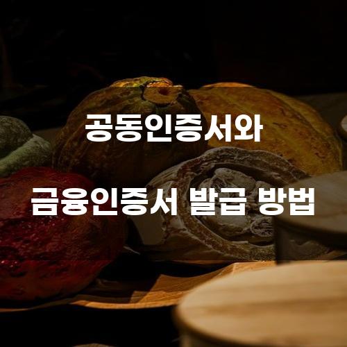 공동인증서와 금융인증서 발급 방법