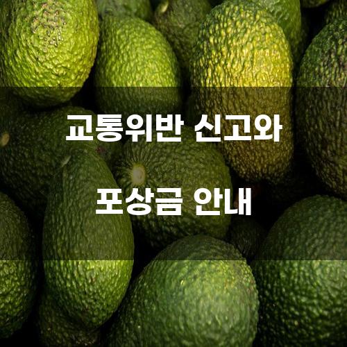 교통위반 신고와 포상금 안내
