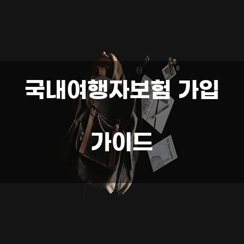 국내여행자보험 가입 가이드