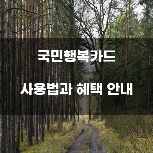 국민행복카드 사용법과 혜택 안내