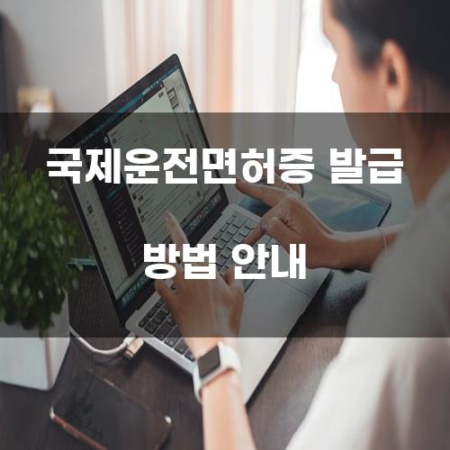 국제운전면허증 발급 방법 안내