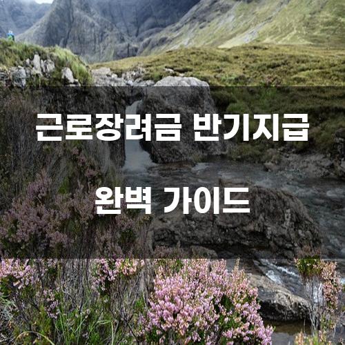 근로장려금 반기지급 완벽 가이드