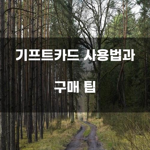 기프트카드 사용법과 구매 팁