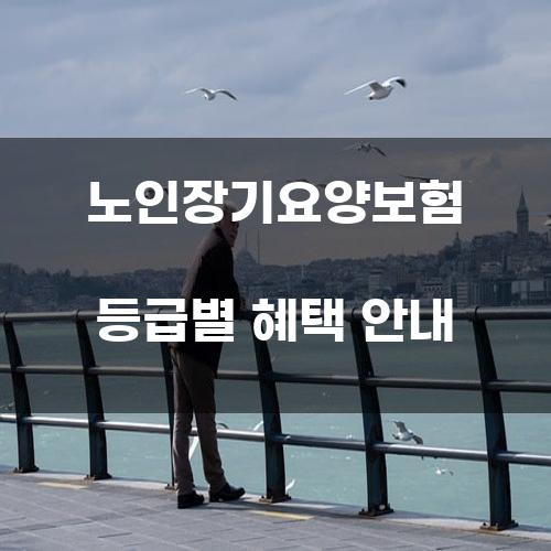노인장기요양보험 등급별 혜택 안내