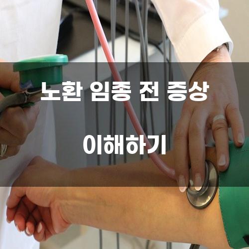 노환 임종 전 증상 이해하기