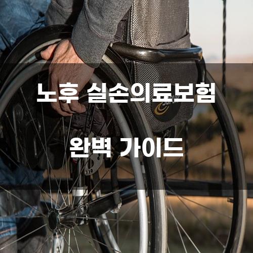 노후 실손의료보험 완벽 가이드
