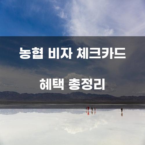 농협 비자 체크카드 혜택 총정리