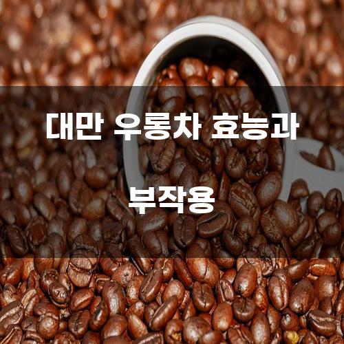 대만 우롱차 효능과 부작용