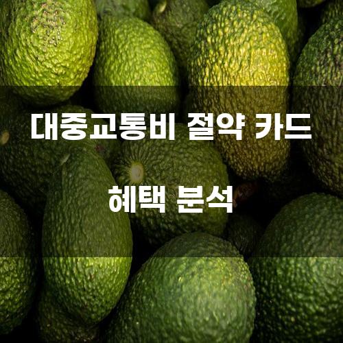 대중교통비 절약 카드 혜택 분석