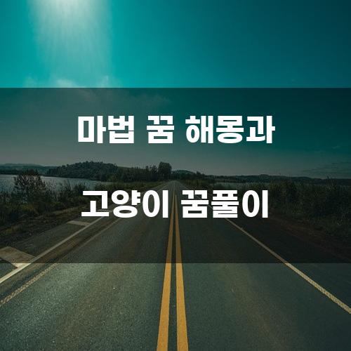 마법 꿈 해몽과 고양이 꿈풀이