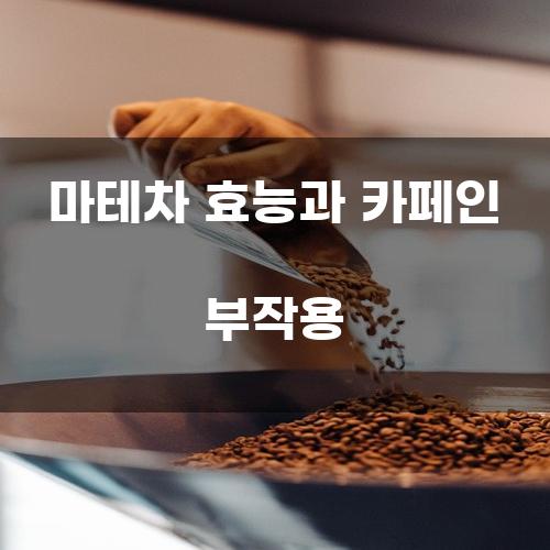 마테차 효능과 카페인 부작용