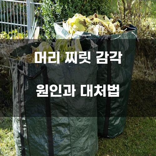 머리 찌릿 감각 원인과 대처법
