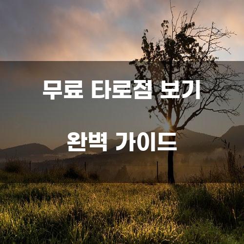 무료 타로점 보기 완벽 가이드
