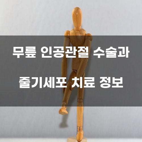 무릎 인공관절 수술과 줄기세포 치료 정보