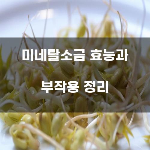 미네랄소금 효능과 부작용 정리