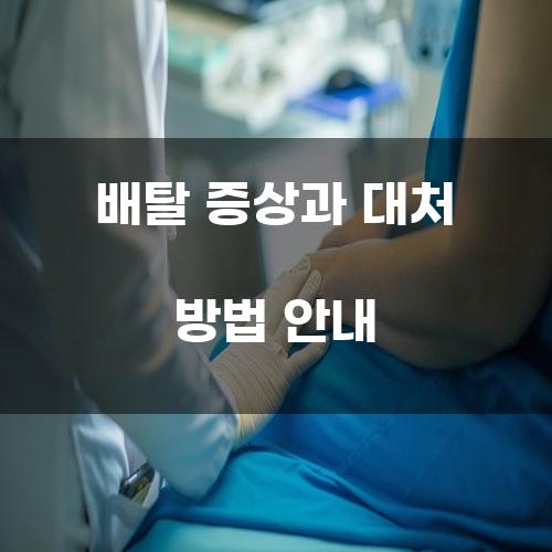 배탈 증상과 대처 방법 안내