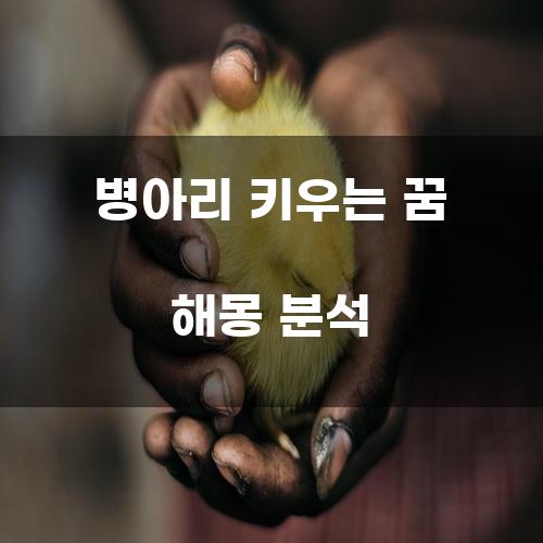 병아리 키우는 꿈 해몽 분석