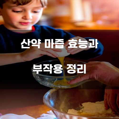 산약 마즙 효능과 부작용 정리