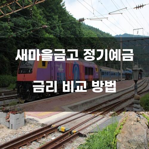새마을금고 정기예금 금리 비교 방법