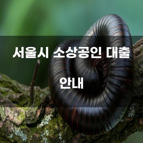 서울시 소상공인 대출 안내