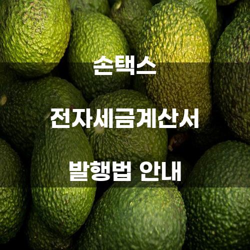 손택스 전자세금계산서 발행법 안내