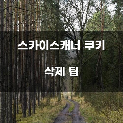 스카이스캐너 쿠키 삭제 팁
