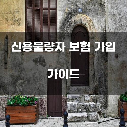 신용불량자 보험 가입 가이드