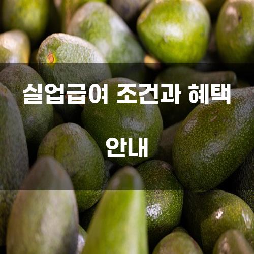 실업급여 조건과 혜택 안내
