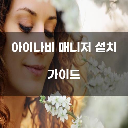 아이나비 매니저 설치 가이드
