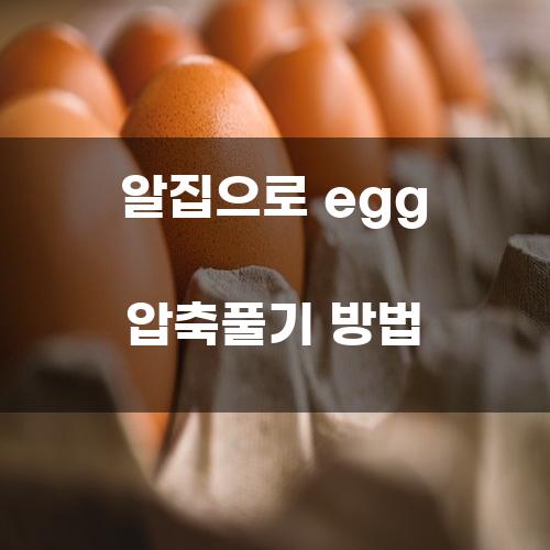 알집으로 egg 압축풀기 방법