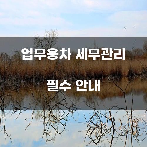 업무용차 세무관리 필수 안내