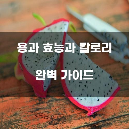 용과 효능과 칼로리 완벽 가이드