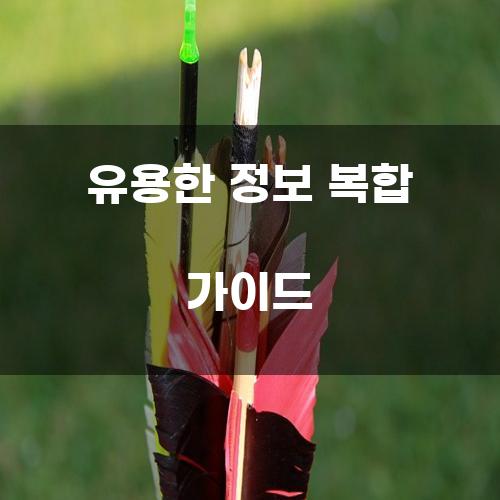 유용한 정보 복합 가이드