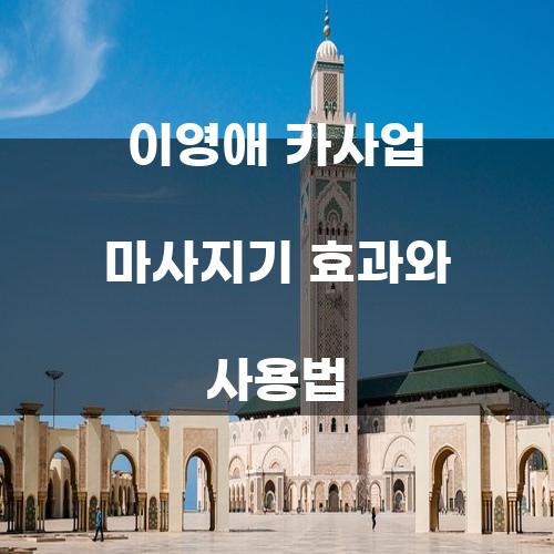 이영애 카사업 마사지기 효과와 사용법