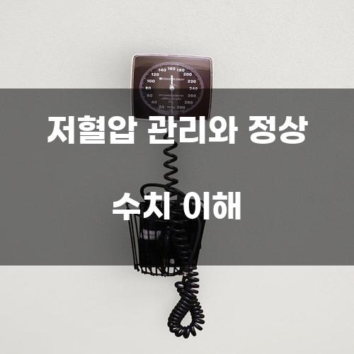 저혈압 관리와 정상 수치 이해