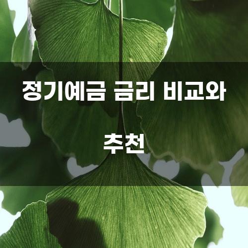 정기예금 금리 비교와 추천