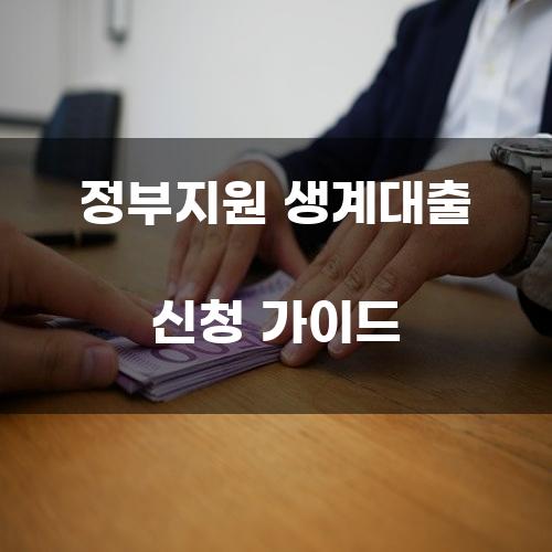 정부지원 생계대출 신청 가이드