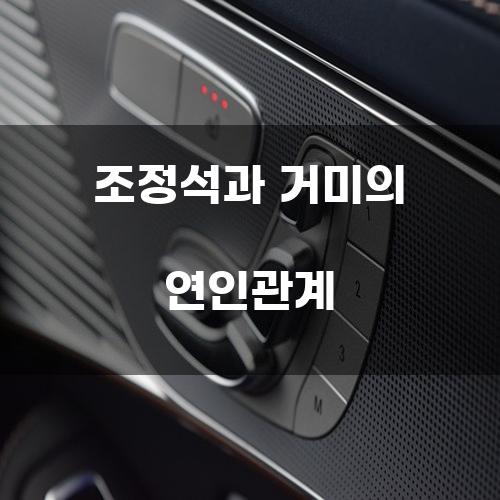 조정석과 거미의 연인관계