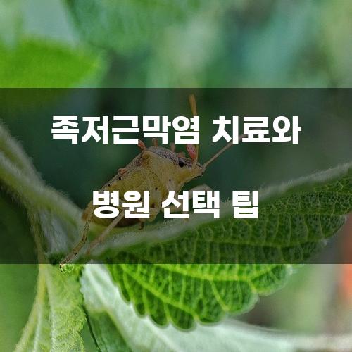 족저근막염 치료와 병원 선택 팁