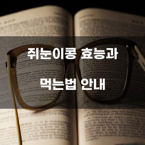 쥐눈이콩 효능과 먹는법 안내