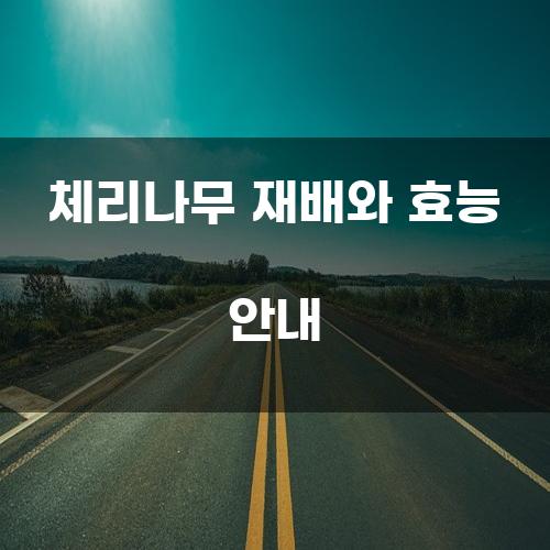 체리나무 재배와 효능 안내