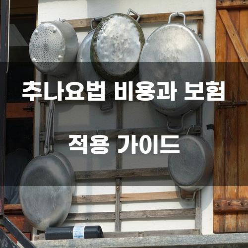 추나요법 비용과 보험 적용 가이드