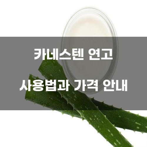 카네스텐 연고 사용법과 가격 안내