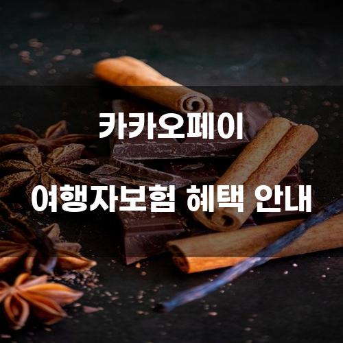 카카오페이 여행자보험 혜택 안내