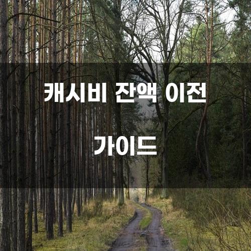 캐시비 잔액 이전 가이드