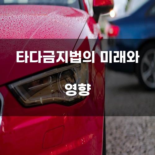 타다금지법의 미래와 영향
