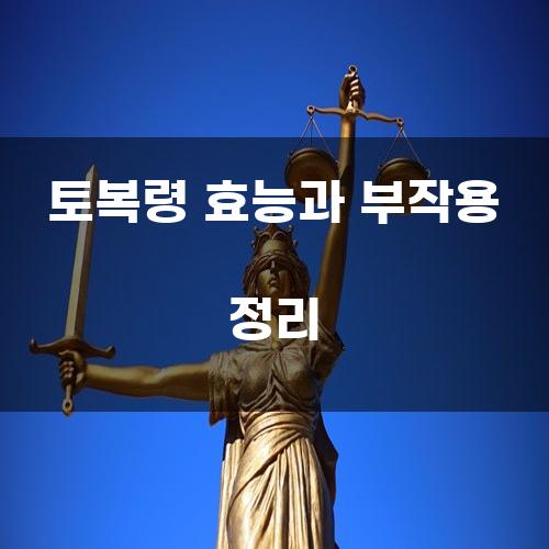 토복령 효능과 부작용 정리